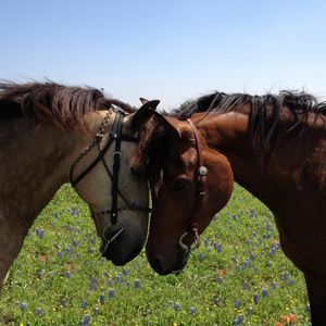 Meet your Posher, Eileen